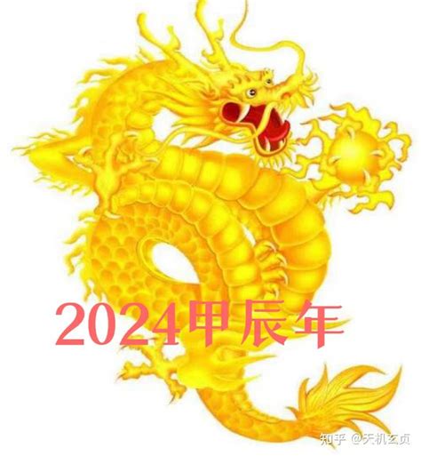 2024四化|元观浅谈